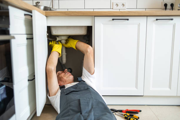 Best Plumbing Inspections & Maintenance in Holtville, AL